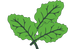 lettuce